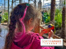Visuels enfants, attractions, parc, Jardin d'Acclimatation, animaux, zoo