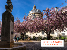 Square Gabriel Pierné à Paris - cerisiers en fleurs -  A7C0345