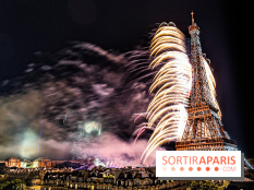 Feu d'artifice du 14 juillet de Paris 2024, les photos
