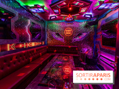 Viet 1331, le restaurant karaoké vietnamien immersif du 13e -  salle karaoké