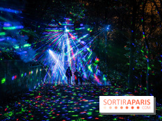 Lumières en Seine 2024, le parcours de lumières féérique et animé  -  A7C6847