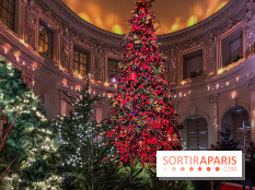 Noël 2024 au Château de Vaux-le-Vicomte : une expérience magique avec une patinoire