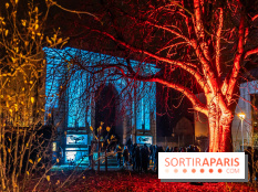 Lueurs de Mantes 2024, le parcours lumineux dans les Yvelines - photos -  A7C9245