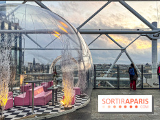 Bulle de rêves : la terrasse d'hiver du restaurant George au sommet du Centre Pompidou - IMG 5327 jpg