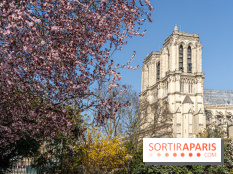 Le Square Viviani devant Notre-Dame de Paris - A7C03830