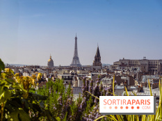 Rooftop de Dame des Arts, la terrasse panoramique sur les toits de Paris - photos  - A7C06281