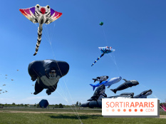 Festival de Cerfs-Volants à la Base 217
