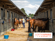 Le Grand Parquet Fontainebleau - photos  - A7C02567