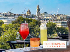 Bar Les Ombres : cocktails & tapas sur le rooftop du Musée du Quai Branly avec vue sur la tour Eiffel - IMG 4138 jpg