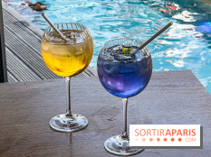 Bar du OFF Paris Seine - 72890101 08AF 4AC2 996F F71254D8A907