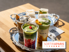 Hoso Basque, le cheesecake japonais - basque - A7C09235