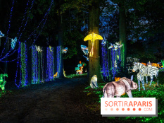 Thoiry Lumières Sauvages 2025 : le Bal des Esprits - A7C09500