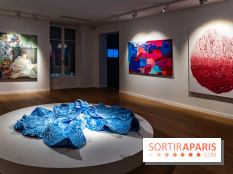 Exposition 'Couleurs de Corée, Lumière sur l’art contemporain coréen' au Centre Culturel Coréen - les photos - A7C09793