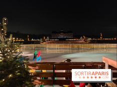 Le Grand Noël 2025 du château de Vaux-le-Vicomte : des décorations magiques pour une balade hivernale mémorable - fotor 1763143267766