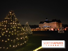 Le Grand Noël 2025 du château de Vaux-le-Vicomte : des décorations magiques pour une balade hivernale mémorable - fotor 1763143236851