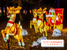 L'Odyssée Lumineuse au Parc Floral 2025, les photos - A7C01845