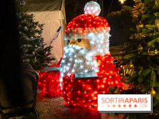 Le Marché de Noël d'Elancourt dans les Yvelines 2025 - photos - A7C02571