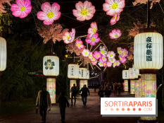 Le Japon en Lumières : le parcours lumineux et festival des lanternes 2025 du Jardin d'Acclimatation