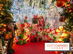 Ce passionné en Essonne transforme son jardin en Village de Noël à visiter gratuitement