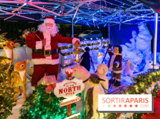 Ce passionné en Essonne transforme son jardin en Village de Noël à visiter gratuitement