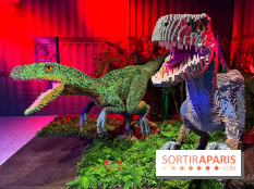 Dinosaures LEGO - IMG 2021