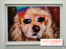 Global Warning : le photographe Martin Parr à l'honneur dans une exposition au Jeu de Paume - fotor 1769689947675