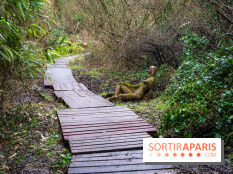 La source de l'Yvette : une statue mystérieuse dans les Yvelines - A7C05602