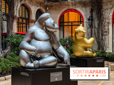 Exposition gratuite au Plaza Athénée : le bestiaire de Michel Bassompierre s'invite au palace - IMG 3929