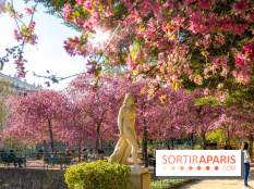 Les pommiers et cerisiers en fleurs du Jardin de Reuilly, Parc de Reuilly à Paris 12e - photos  - visuel