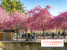 Les pommiers et cerisiers en fleurs du Jardin de Reuilly, Parc de Reuilly à Paris 12e - photos  - table pique nique 