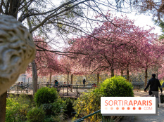 Les pommiers et cerisiers en fleurs du Jardin de Reuilly, Parc de Reuilly à Paris 12e - photos  - A7C09294