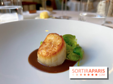 Alliance - Noix de Saint-Jacques à l'unilatéral, chou de Bruxelles, sauce réduite au vin rouge et barbes