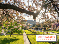 Les floraisons exceptionnelles du Jardin des Plantes 2026 : tulipes, coquelicots et cerisiers - photos - A7C00582