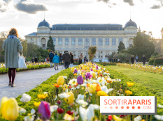 Les floraisons exceptionnelles du Jardin des Plantes 2026 : tulipes, coquelicots et cerisiers - photos - A7C00630