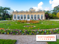 Le Parc de Bagatelle au printemps, cerisier, tulipes et jonquilles - photos - A7C00842