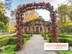 Le Parc de Bagatelle au printemps, cerisier, tulipes et jonquilles - photos - A7C00854
