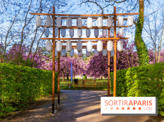 Hanami au Parc de Sceaux 2026, les cerisiers en fleurs et ses  animations - A7C01616 HDR