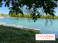 Les barque de l'Etang aux Carpes, à Fontainebleau - nos photos - IMG 7776