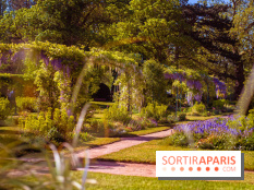 Le Parc des Ibis au Vésinet dans les Yvelines en Région Parisienne - photos  - A7200695 2