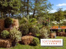 Fête des Plantes au Château de Dampierre dans les Yvelines - photos