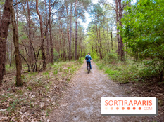 Liaisons douces à Fontainebleau : la forêt à vélo, les photos