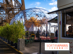 Bulle d'automne de la tour Eiffel : arbre géant et jeu grandeur nature au sommet de Paris