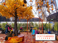Bulle d'automne de la tour Eiffel : arbre géant et jeu grandeur nature au sommet de Paris