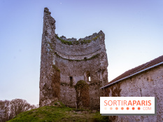Le seul donjon médiéval à contrefort d'Ile-de-france se trouve dans les Yvelines 