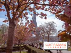 Les cerisiers du Trocadéro fleurissent avec de l'avance en ce printemps 2026
