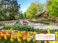 Le Parc Floral de Paris Vincennes, tulipes