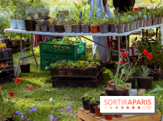 Les Naturiales 2026 à Fontainebleau : marché de plantes et animations nature en Seine-et-Marne