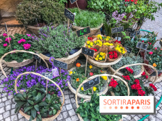 Marché aux plantes et fleurs à Argenteuil 2023: Découvrez la Vallée aux plantes et aux fleurs