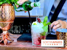 La terrasse cachée du Saint-James