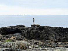 Bretagne : évolution quotidienne de la situation sanitaire dans la région